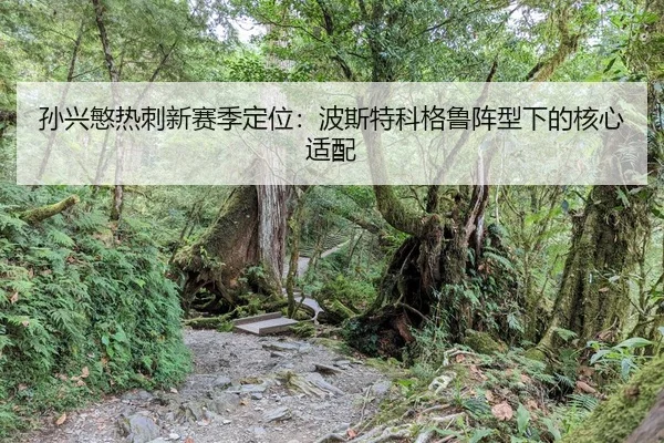 sun-xing-min-re-ci-xin-sai-ji-ding-wei-bo-si-te-ke-ge-lu-zhen-xing-xia-de-he-xin-shi-pei-2-167.jpg