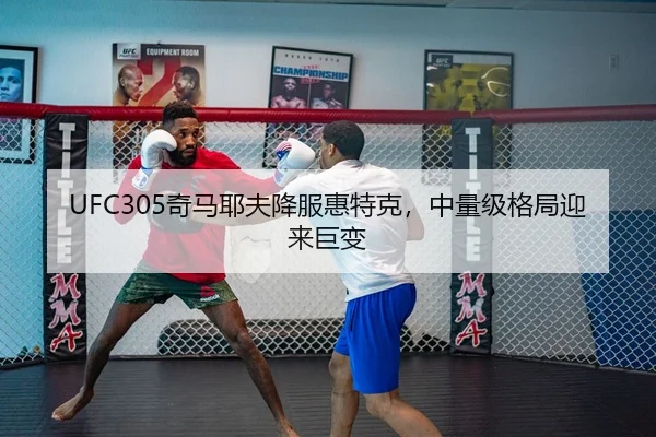 UFC305奇马耶夫降服惠特克，中量级格局迎来巨变