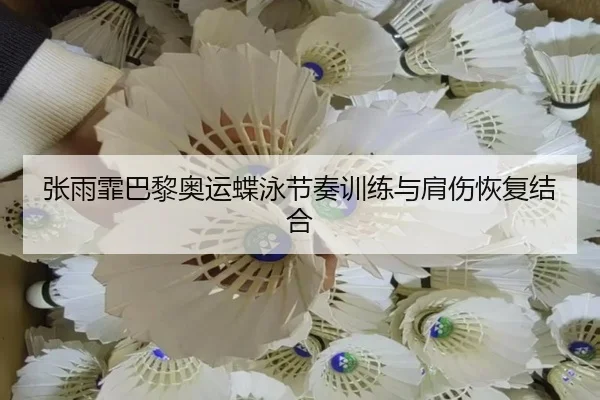 zhang-yu-fei-ba-li-ao-yun-die-yong-jie-zou-xun-lian-yu-jian-shang-hui-fu-jie-he-3-419.jpg